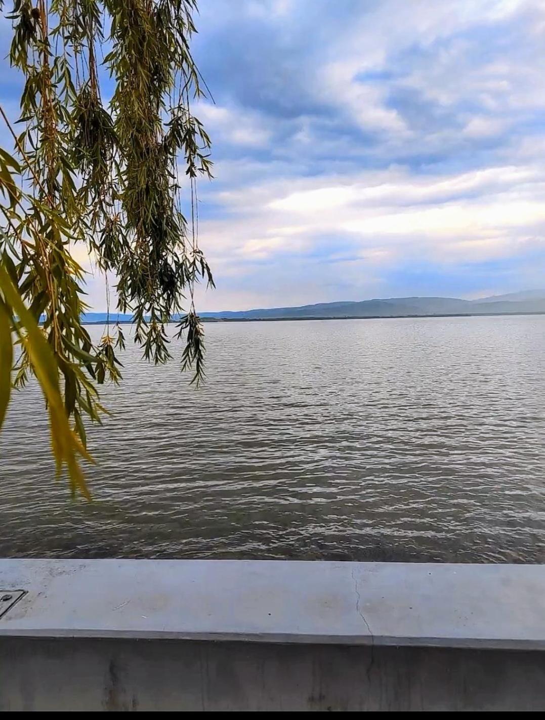 Apartman Bella Vista Golubac Exterior photo